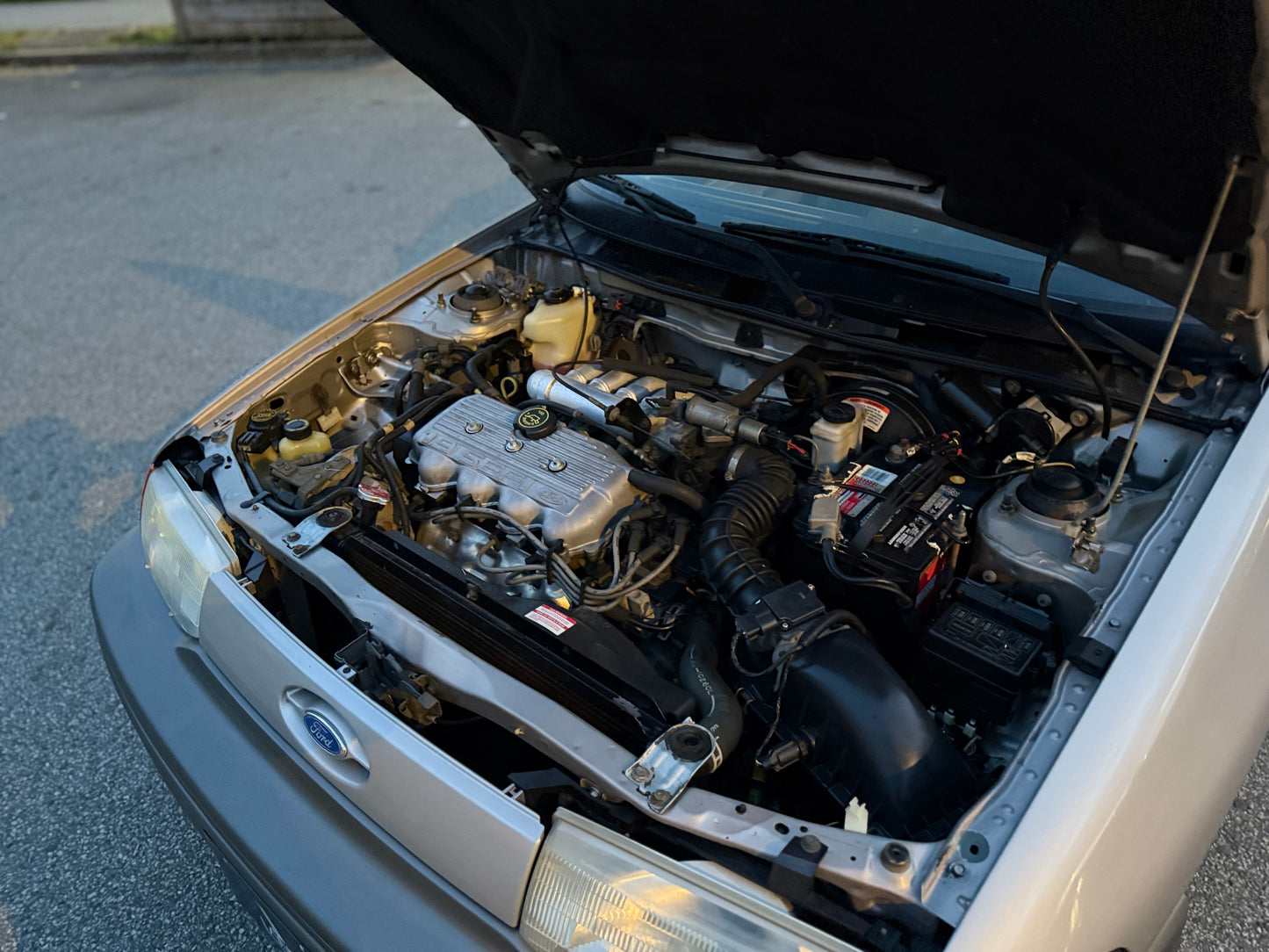 1991 Ford Escort LX