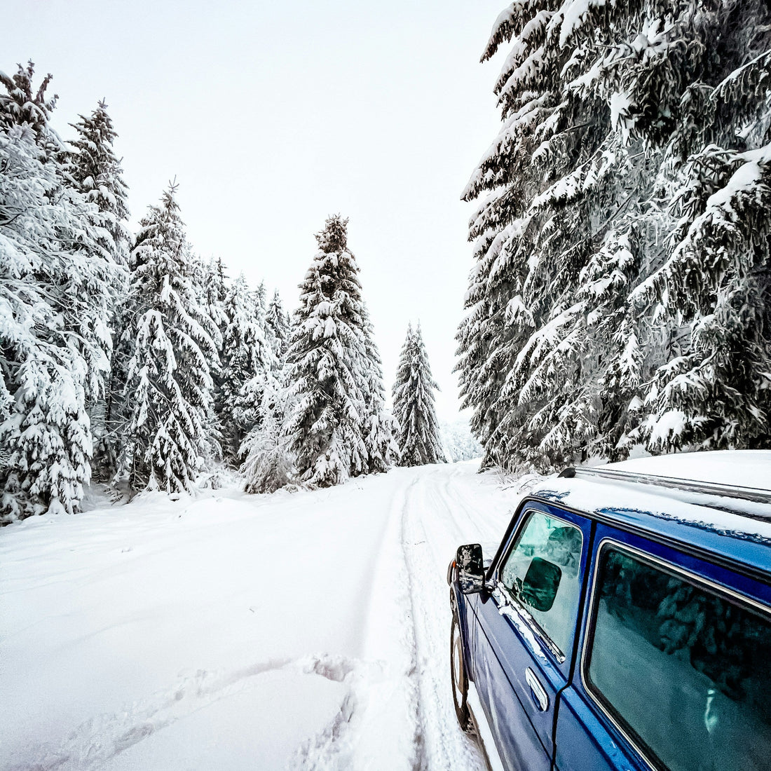 Holiday Driving & Smart Car-Buying Tips from Lane11 Motors