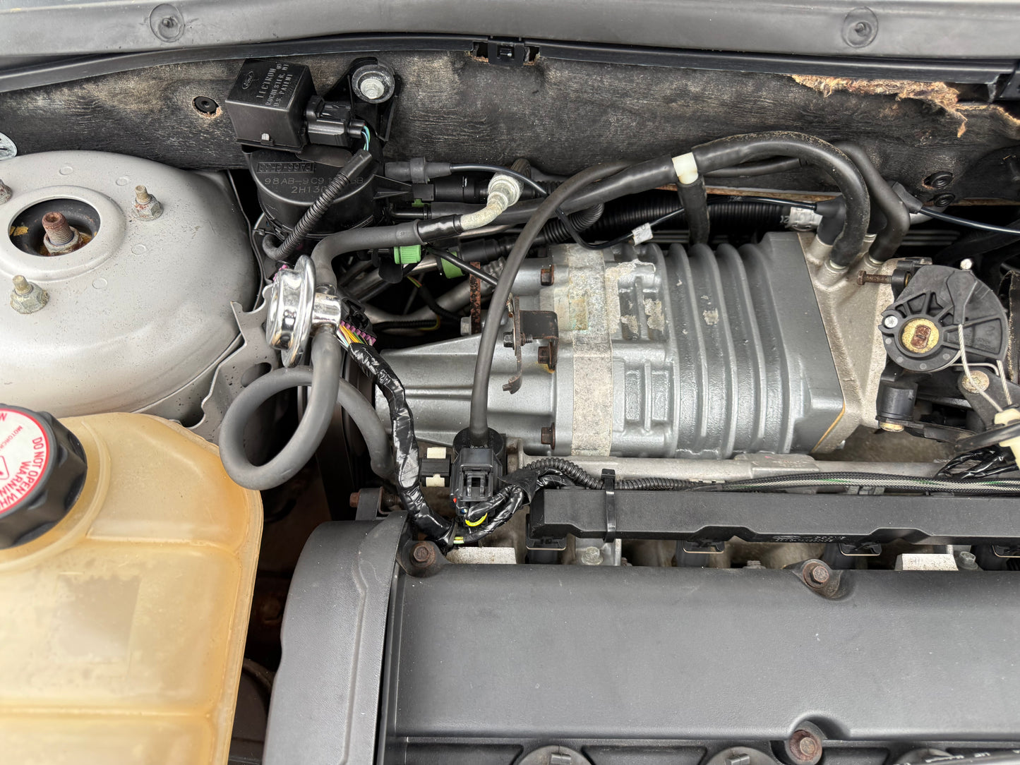 2003 Ford Focus SVT